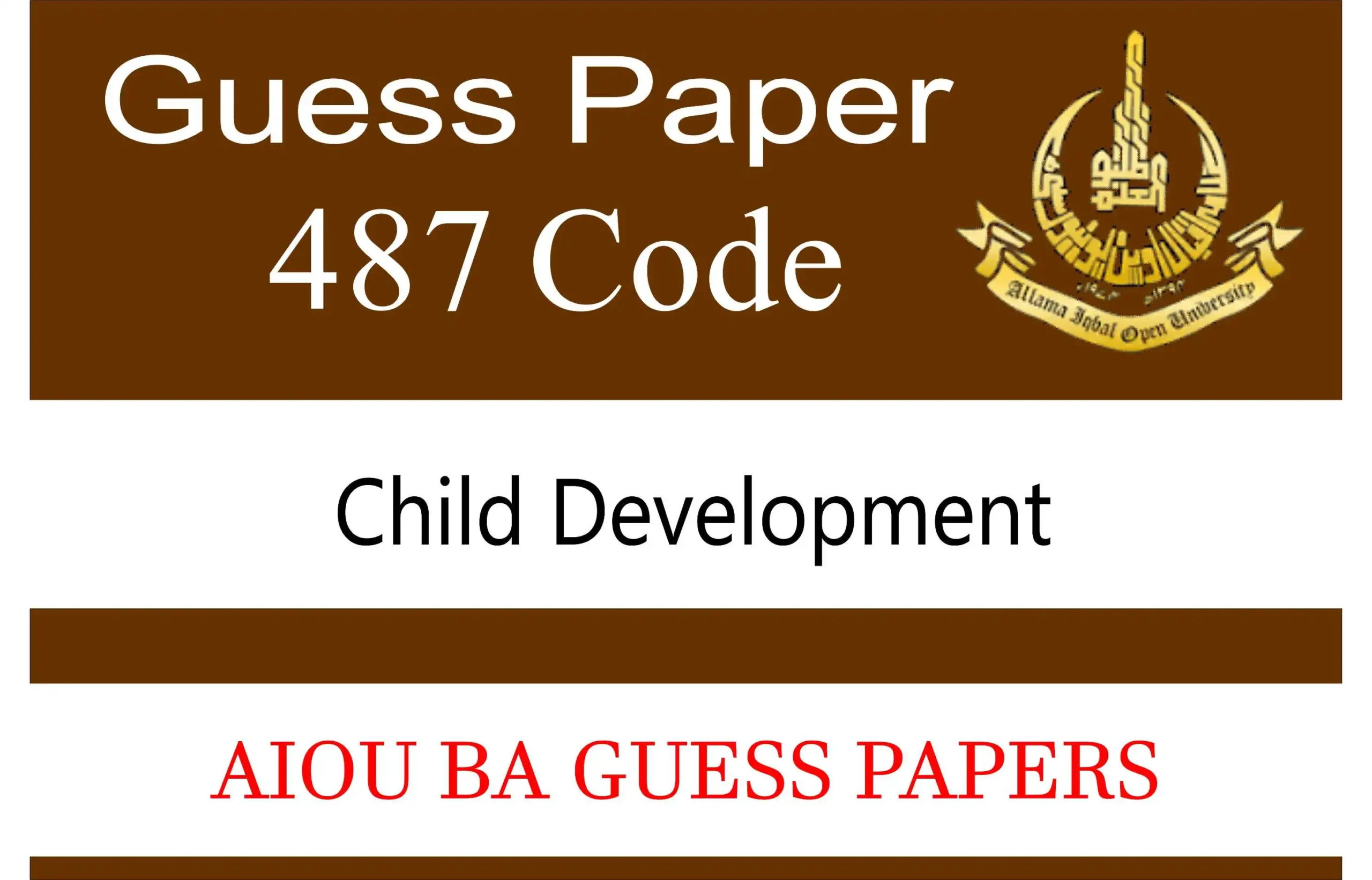 aiou 487 code guess paper
